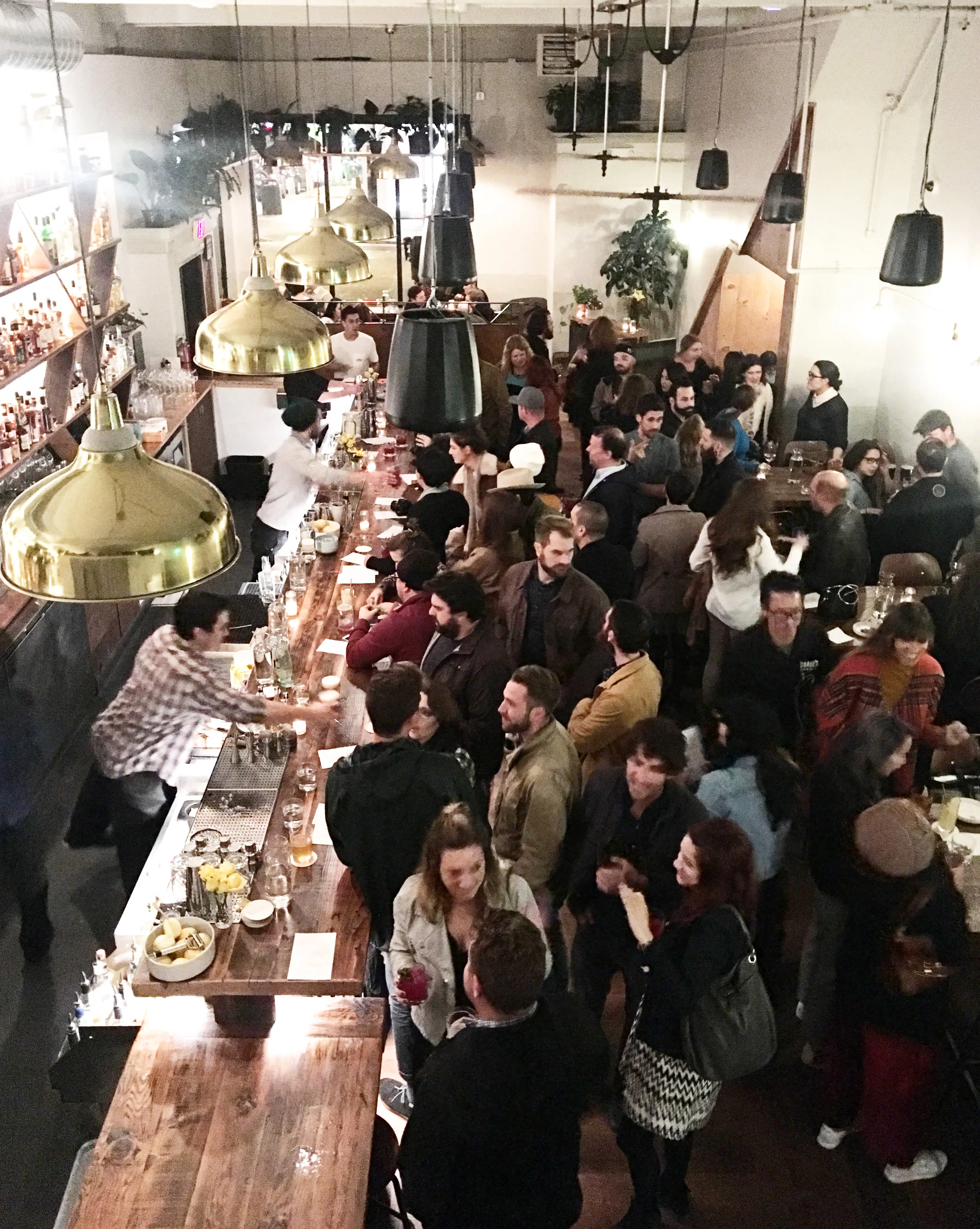 The view from their top lounge, photo by Isabella Welch