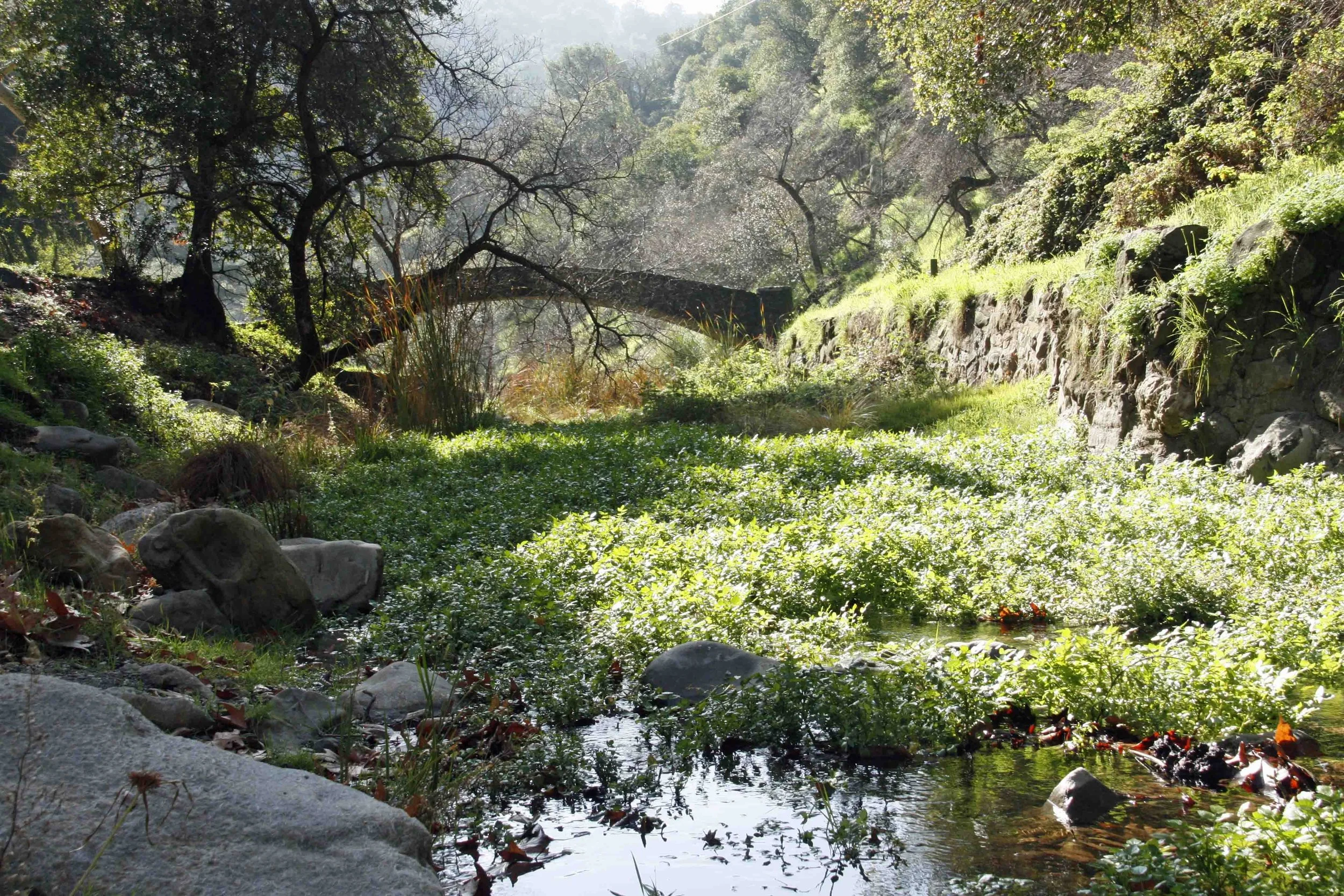 Photo via Alum Rock Park
