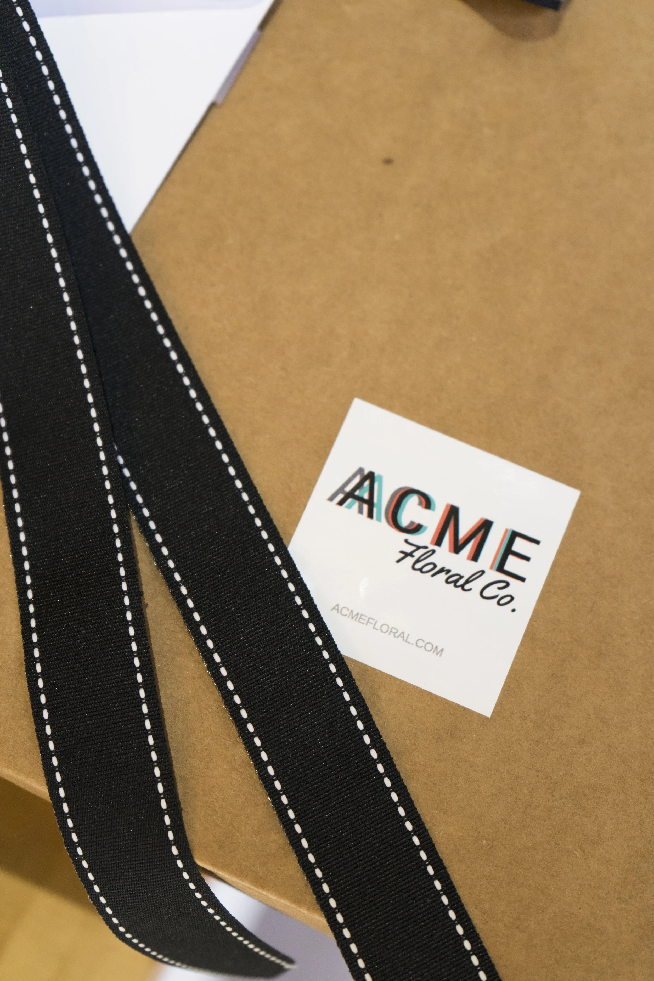 Bob_Cut_ACME_19.jpg