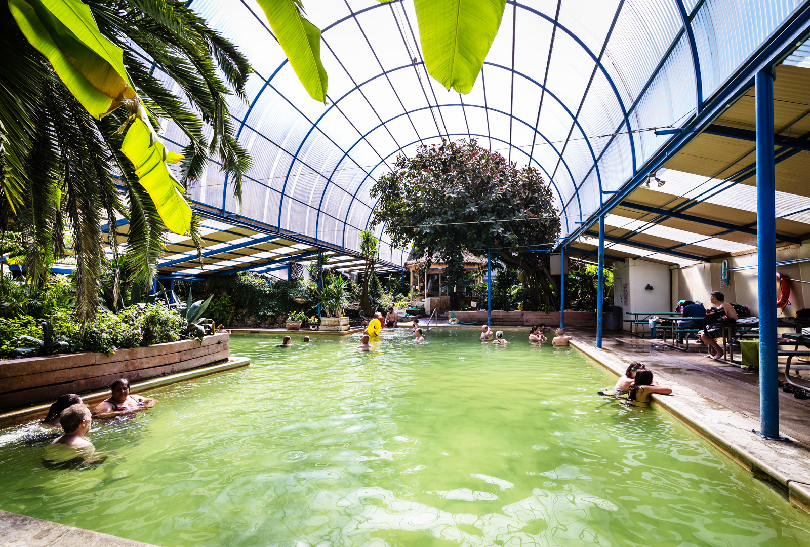Front-page-pool-2.jpg