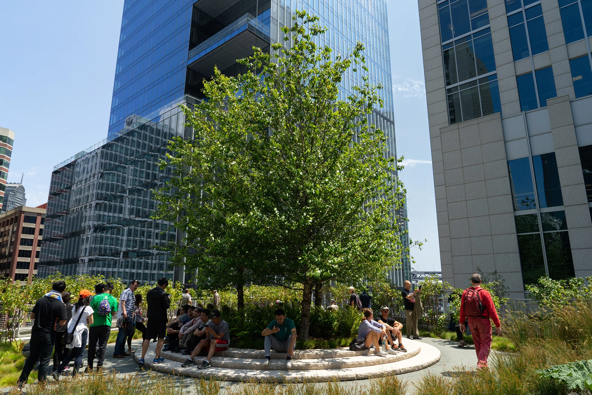 SalesforcePark-4.jpg