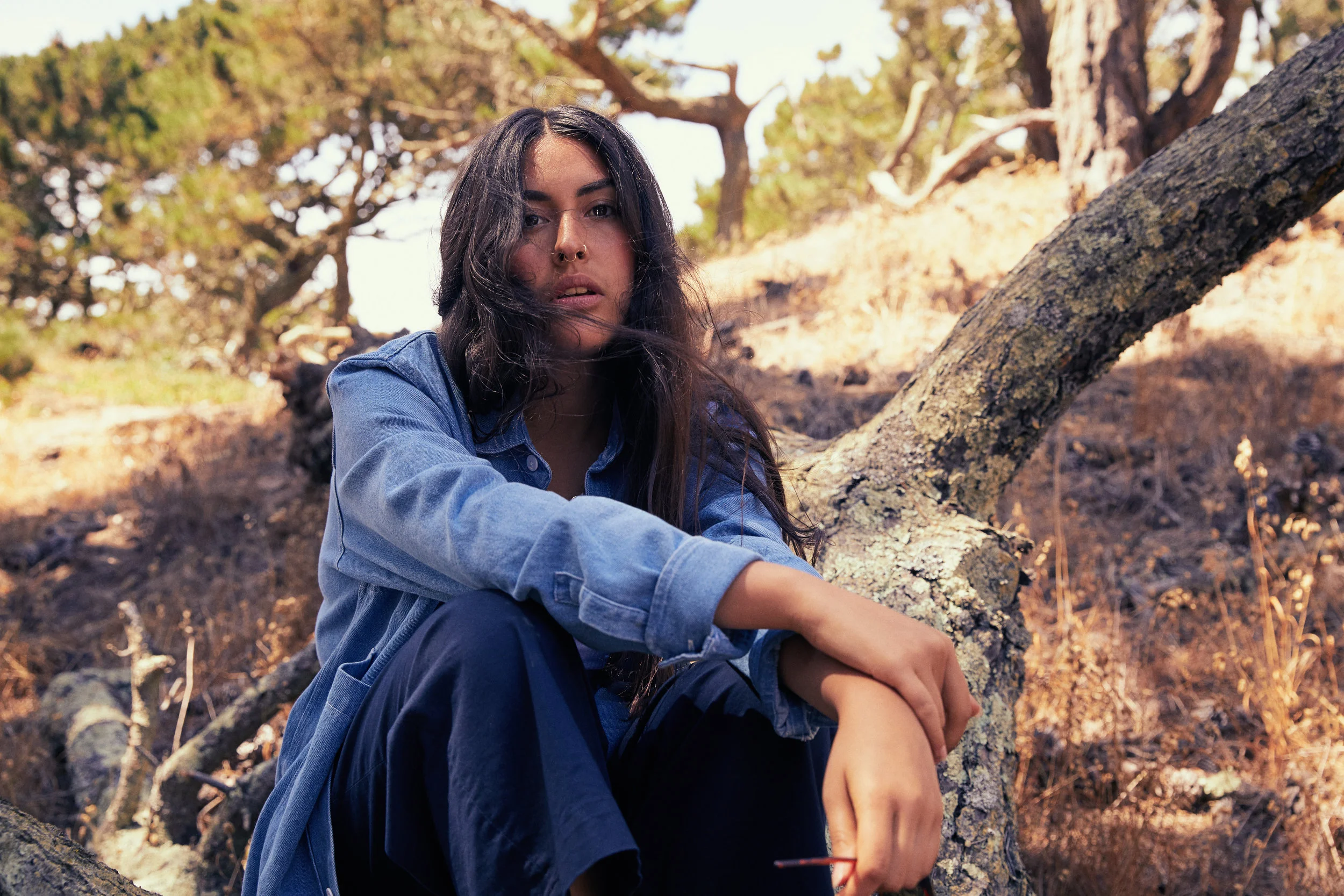 Ijji denim top
