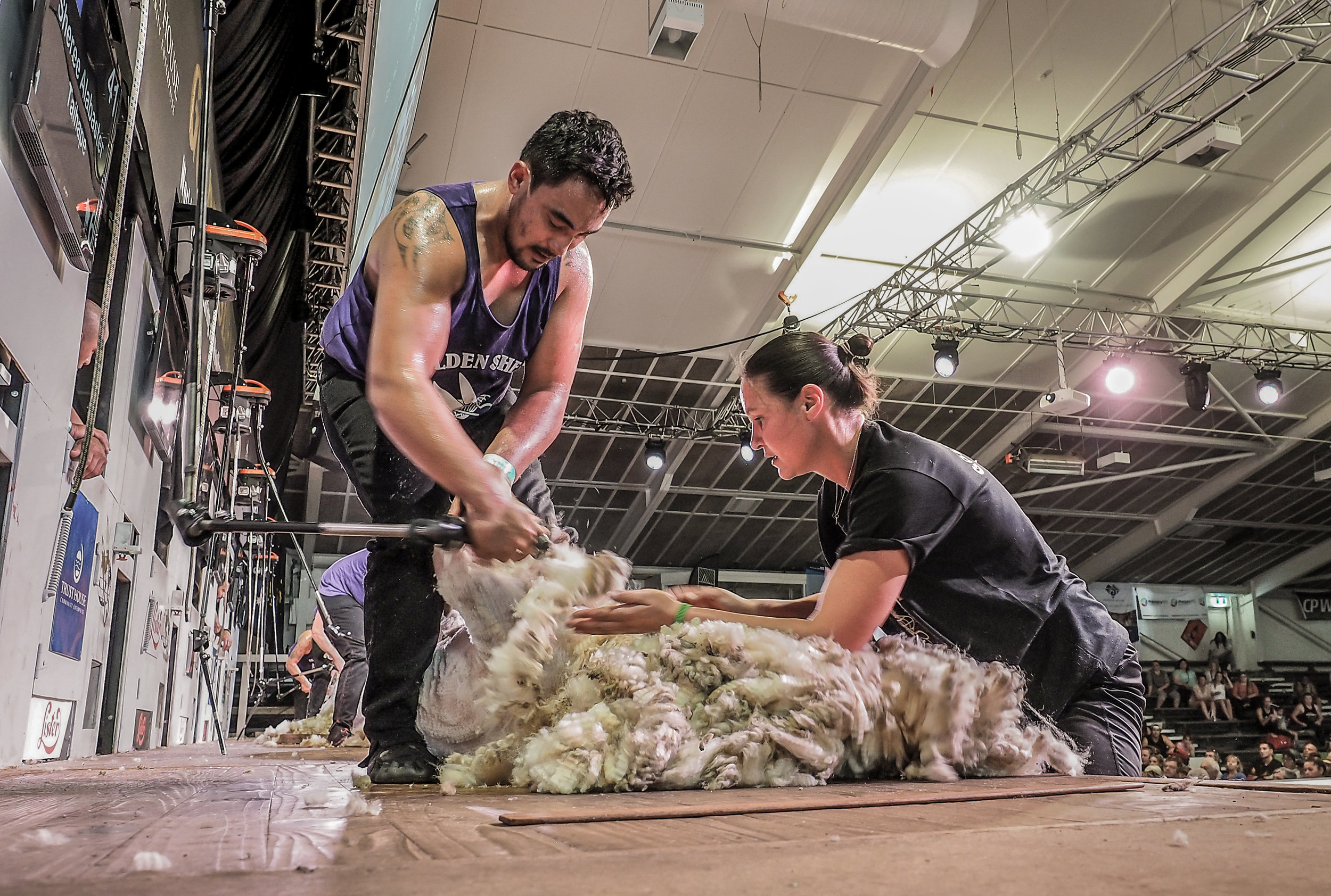  Sheree Alabaster NIWC woolhandling final 