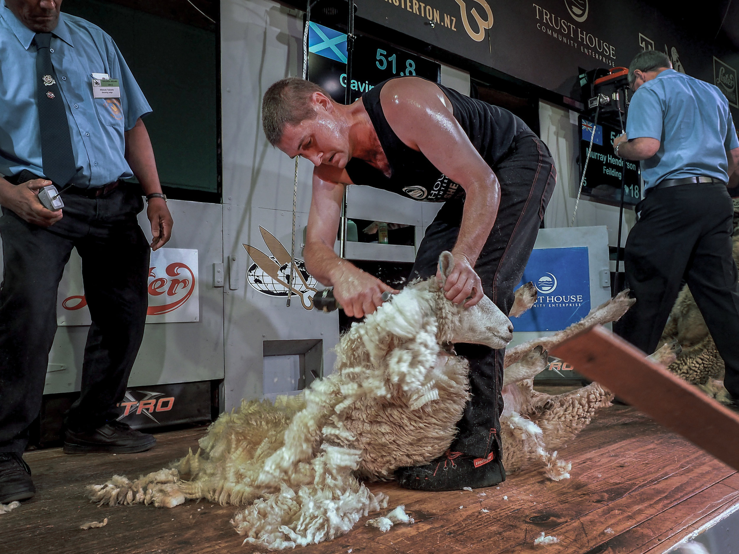  Gavin Mutch Open Shearing winner 