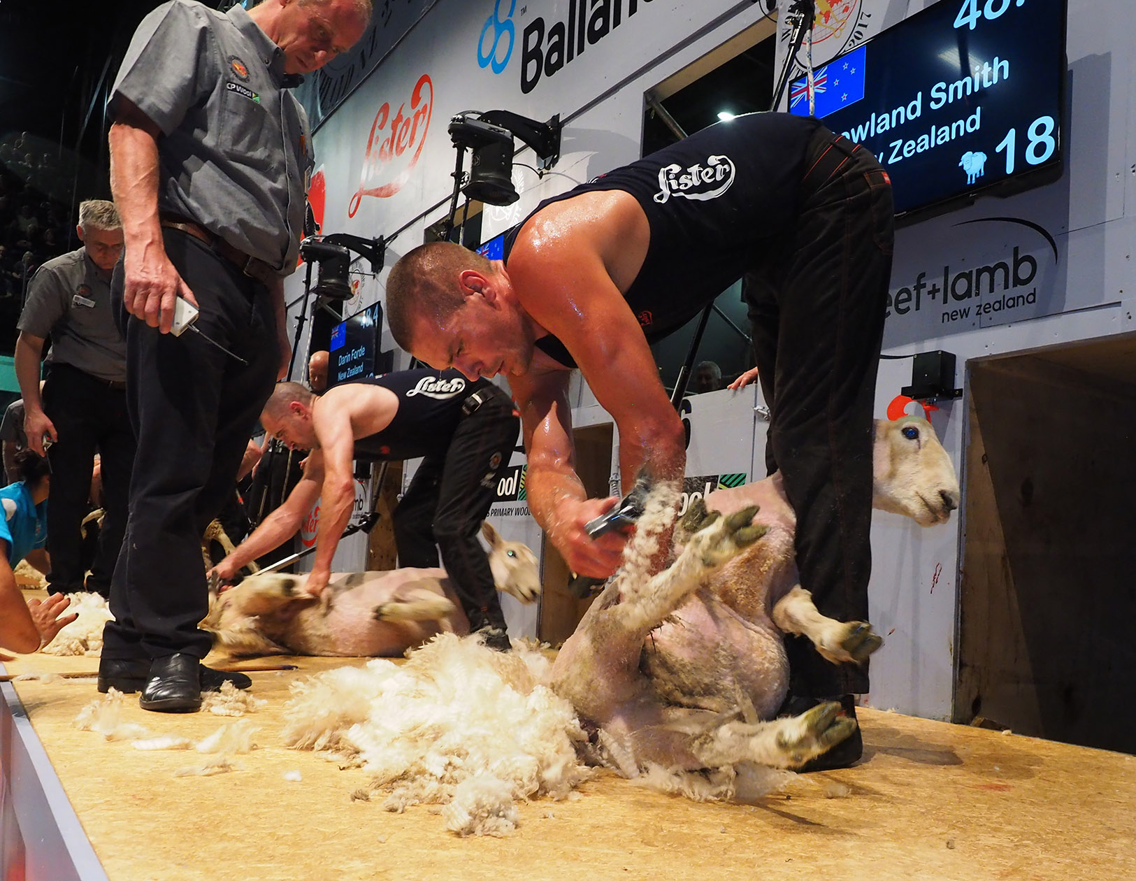 The hot gossip is Smith to win again at The Goldies