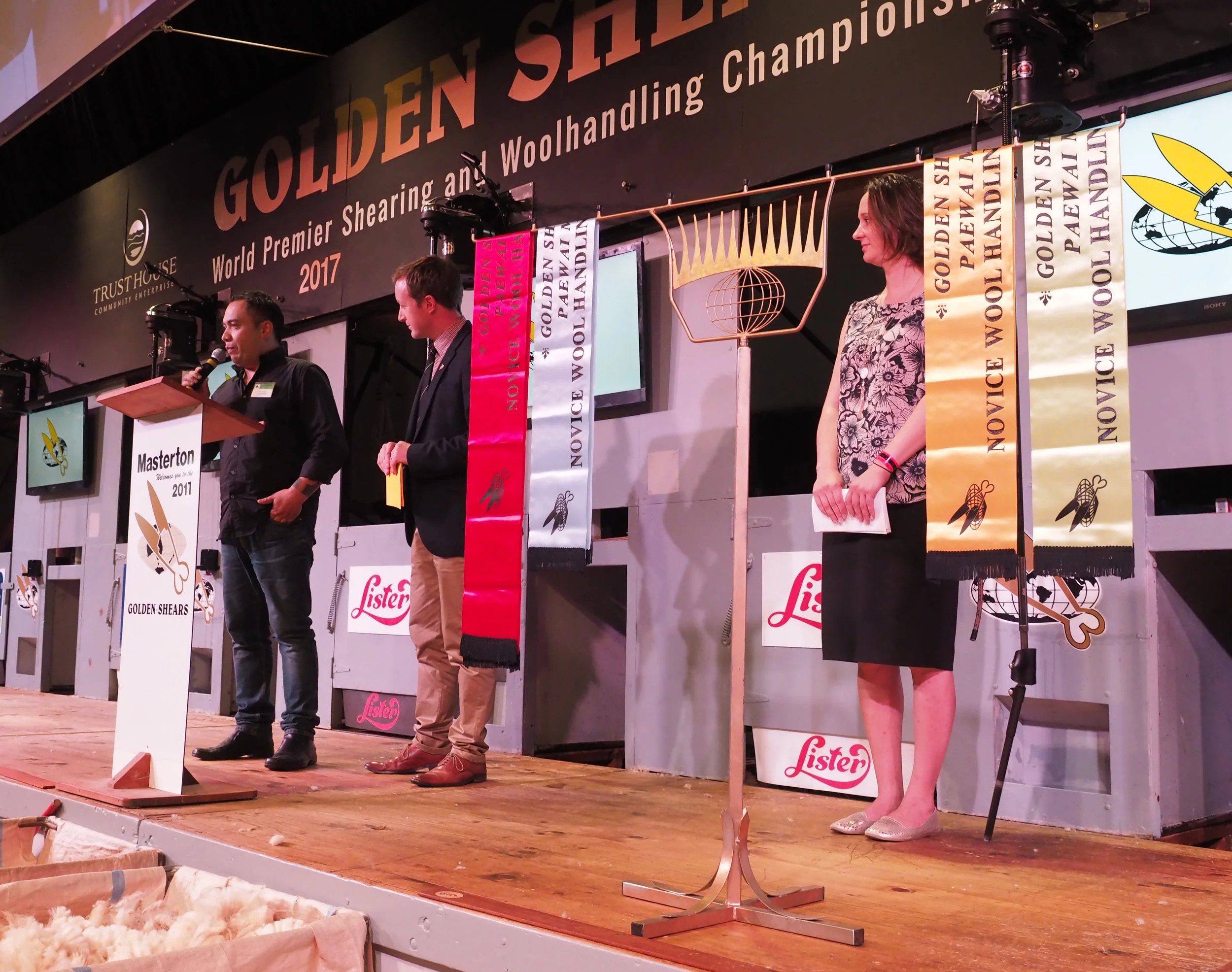 Novice Woolhandling Winners