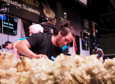 Shearer Stevens wins woolhandling