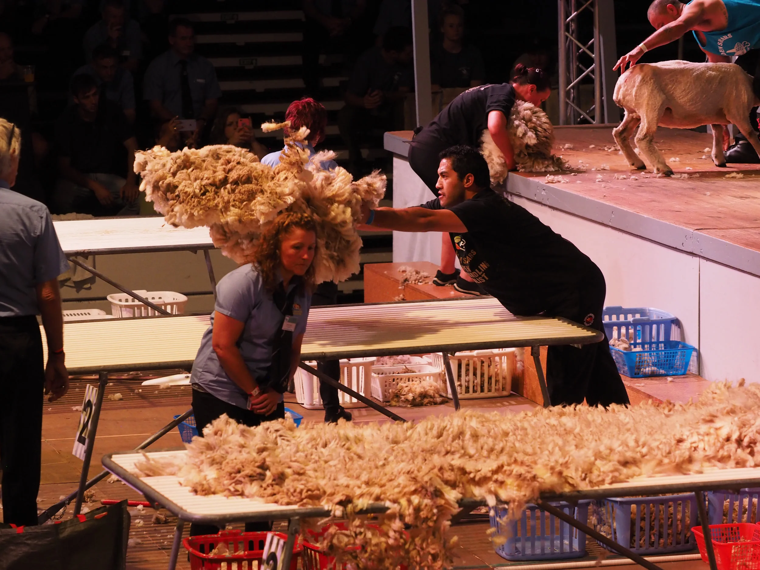 Joel Henare Open woolhandling