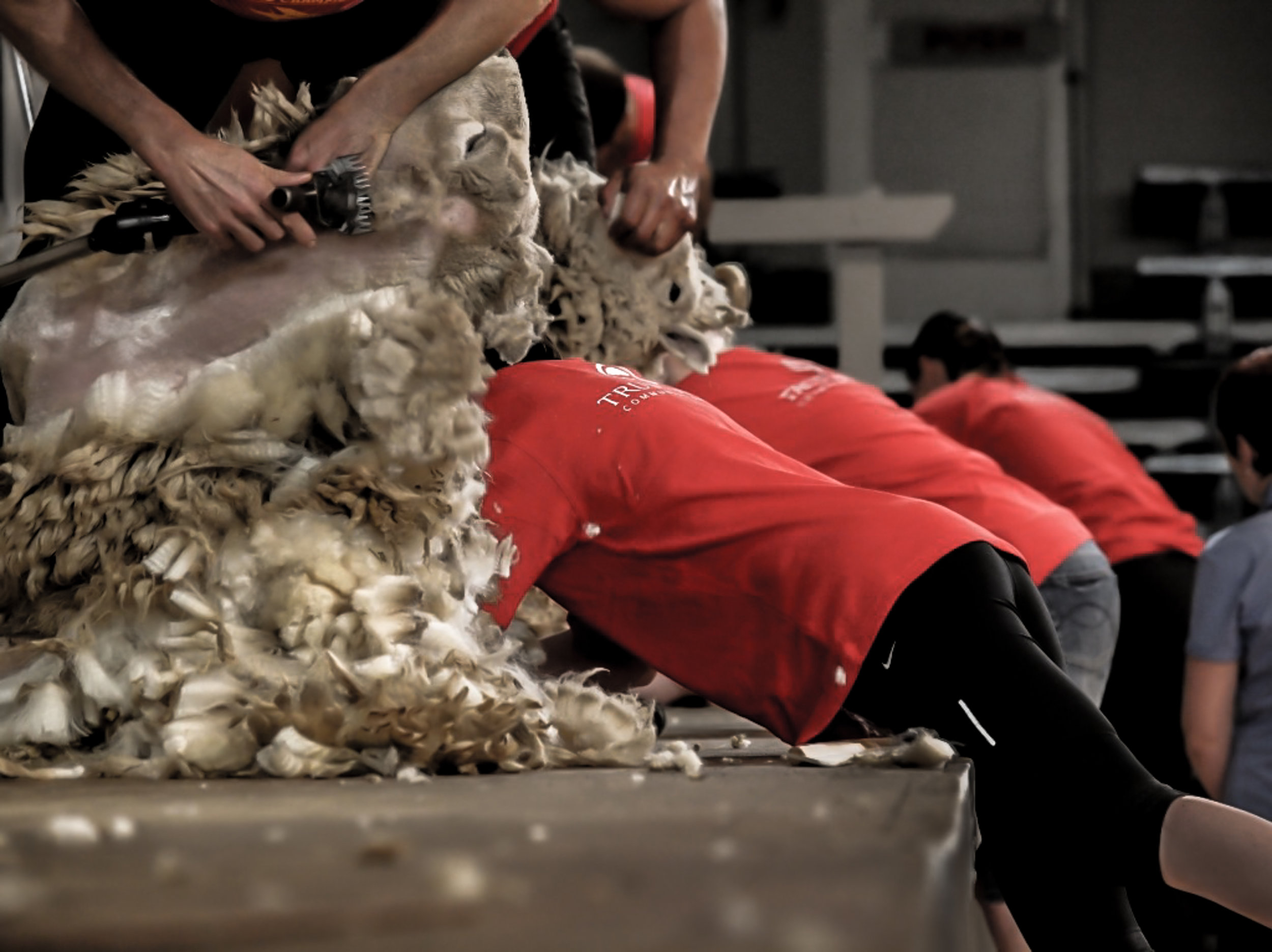 Thursday - Day Events