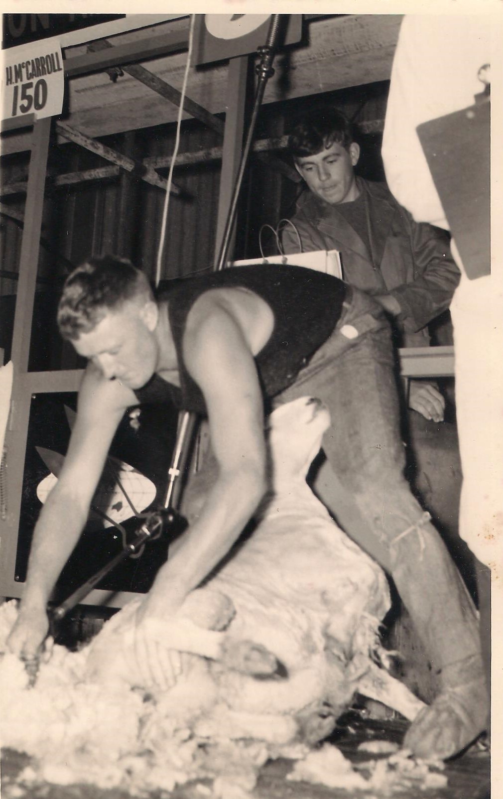 Golden Shears attract about 300 competitors