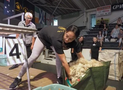 Heaven Kemp, of Gisborne, on her way to her “shock” win in the Novice woolhandling final on the opening day of the 58thGolden Shears in Masterton today. PHOTO/Pete Nikolaison, Golden Shears Media Group.