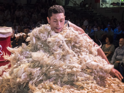 On target Goodger upholds family tradition at Golden Shears