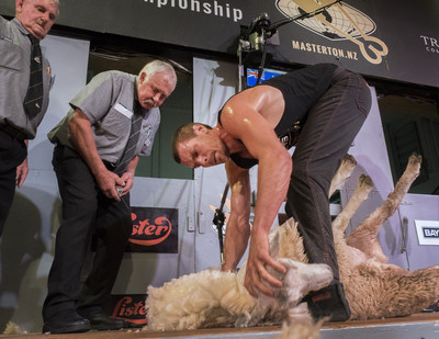 Smith closing in repeat Golden Shears win