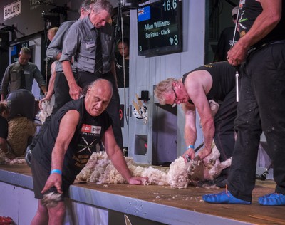Former woolhandling champion collapses at Golden Shears