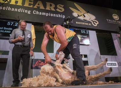 All square in sports shears test