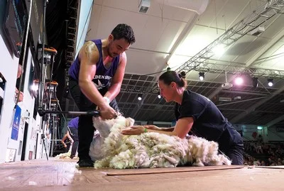 Sheree Alabaster NIWC woolhandling final