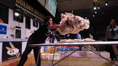 Joel Hanare - open woolhandling winner