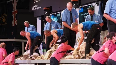 PGG Wrightson National Final