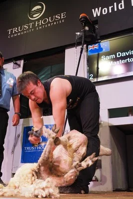 Sam Davison winner of Masterton - Junior Shearing