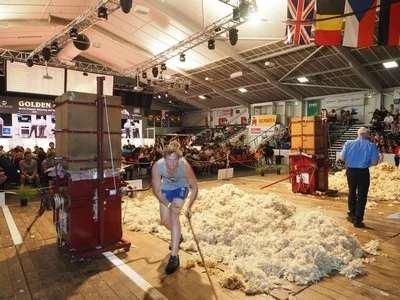 wool pressing day 1.jpg