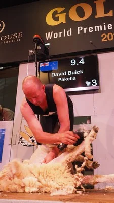 David Buick winner Maori-Pakeha Team event.jpg