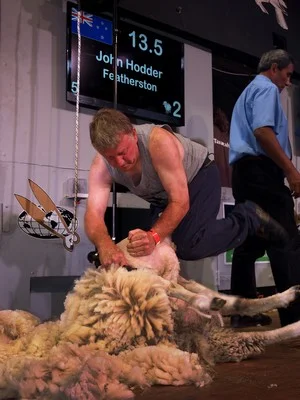 John Hodder Featherston Vets