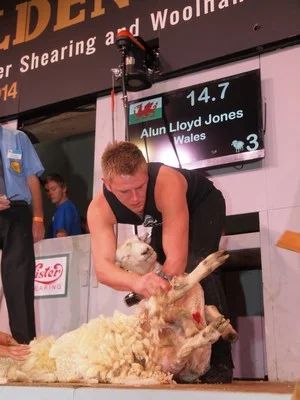 alun_lloyd_jones_intermediate_winner.jpg