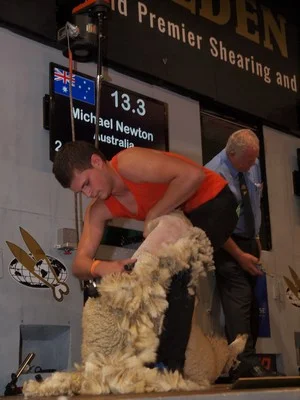michael_newton-aus.jpg