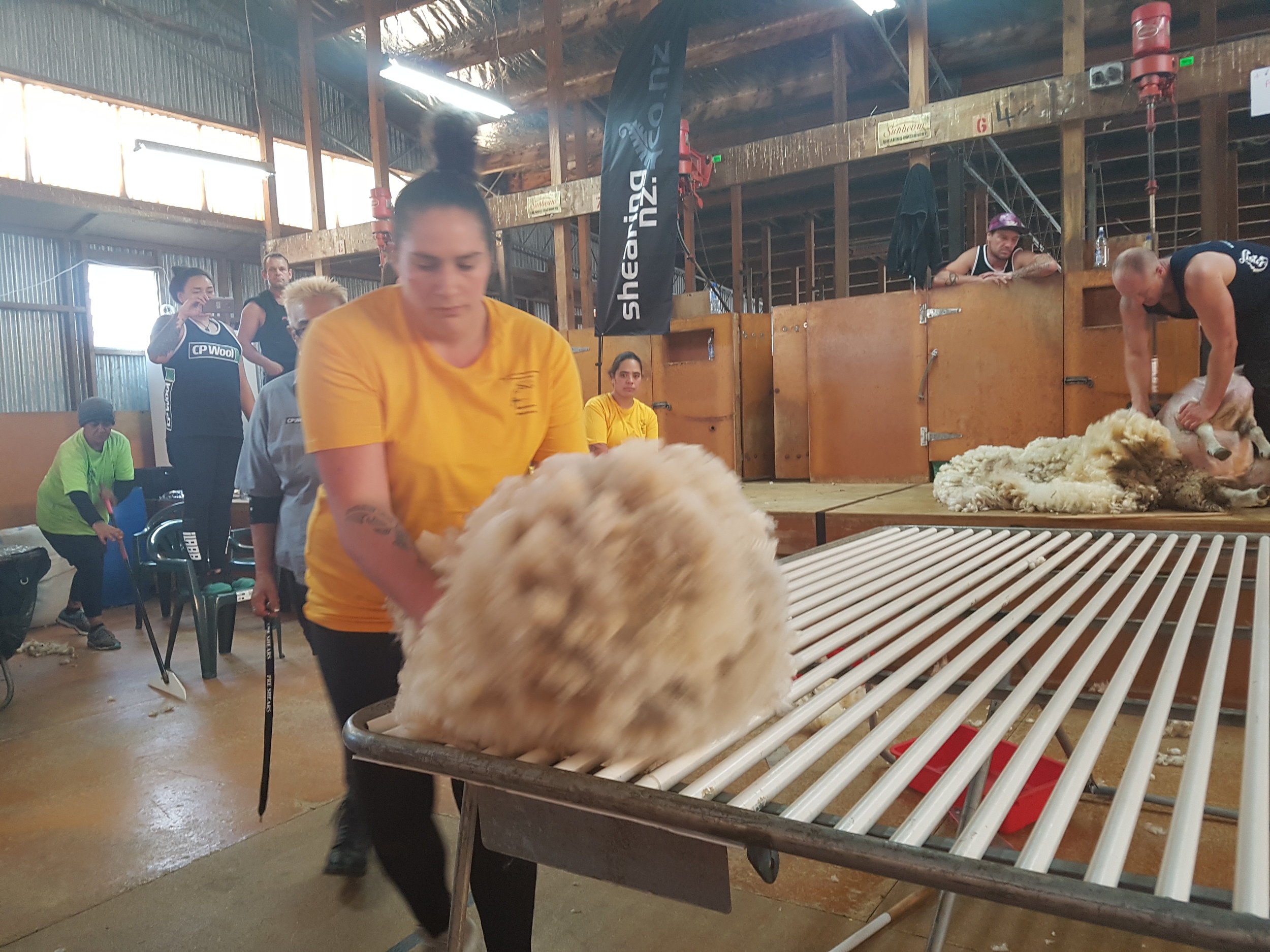 Karauria gets big win on the eve of Golden Shears