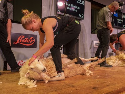 Women’s Shearing Event
