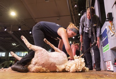 It's a matter of law – Scots lass targets Goldies win