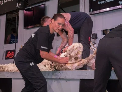 Taihape schoolteacher Sheree Alabaster during New Zealand's win over Australia in the latest transtasman woolhandling test at the Golden Shears in Masterton last night. PHOTO/Pete Nikolaison, Golden Shears.
