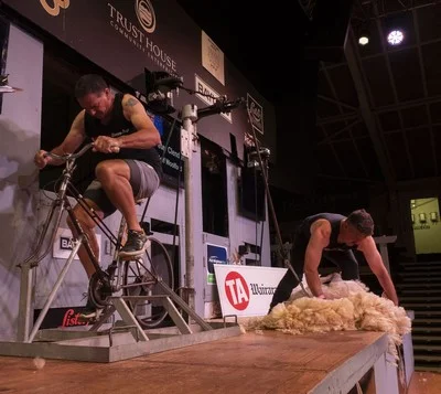 Cycle Challenge Shearing