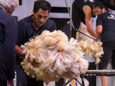 Golden Shears boilover - World champ Henare to miss 2019 defence