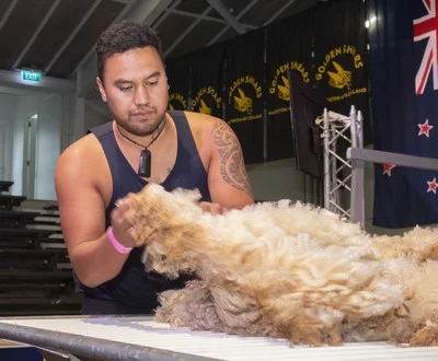 Senior Woolhandling Semi