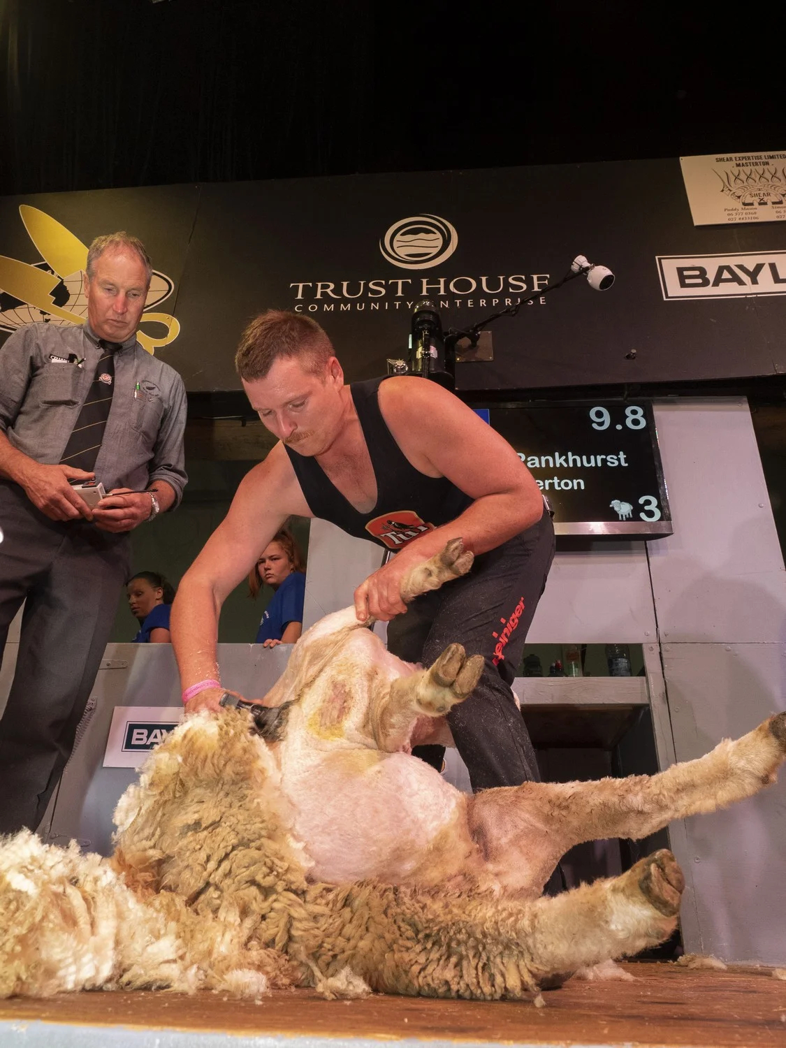 Encouragement Shearing