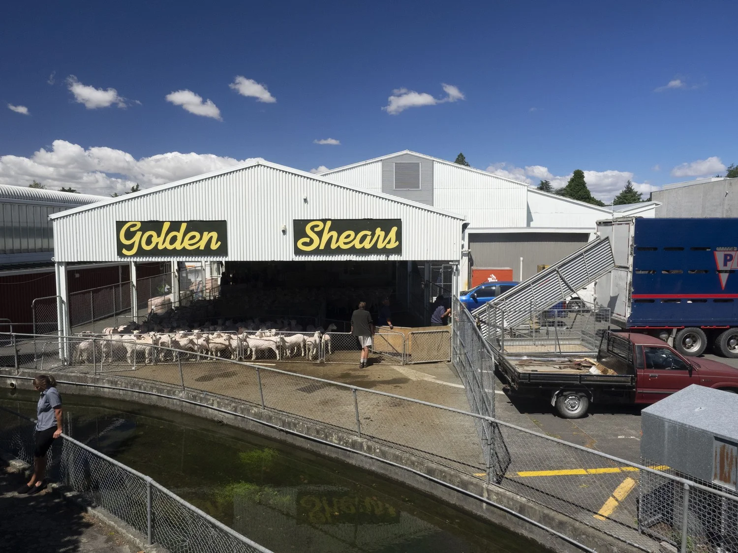 Golden Shears 2019