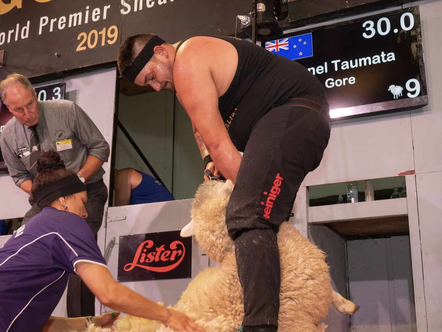 Senior Shearing Final
