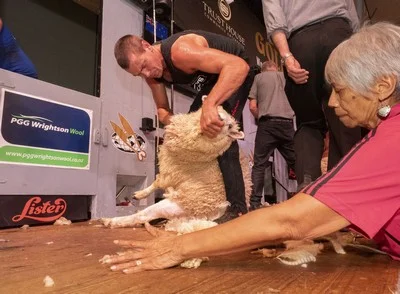 open shearing final