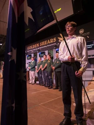 Trans-TasmanTest Shearing
