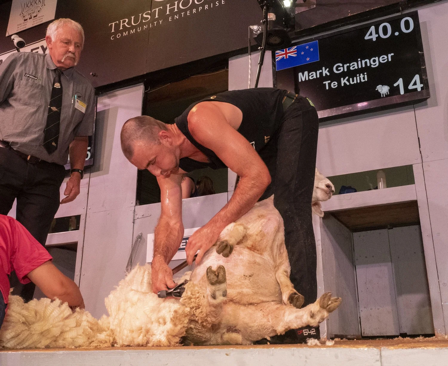 Open shearing final