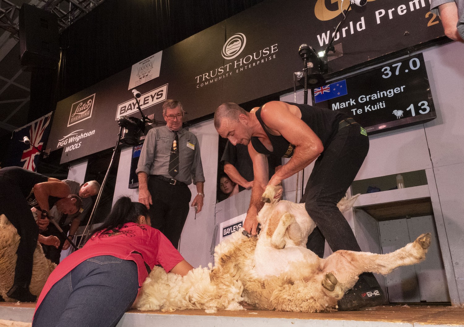 Open shearing final