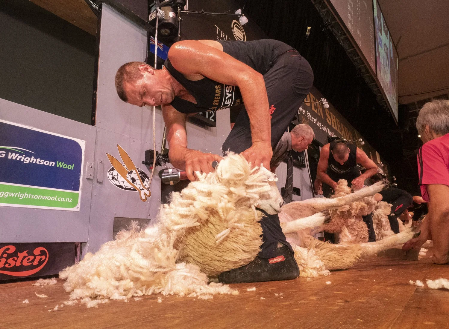 Open shearing final