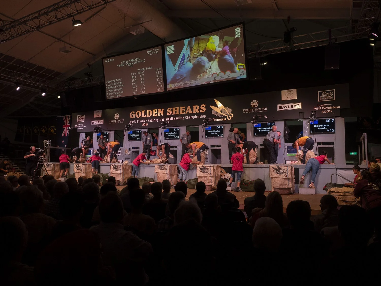 Trans-Tasman Test Shearing