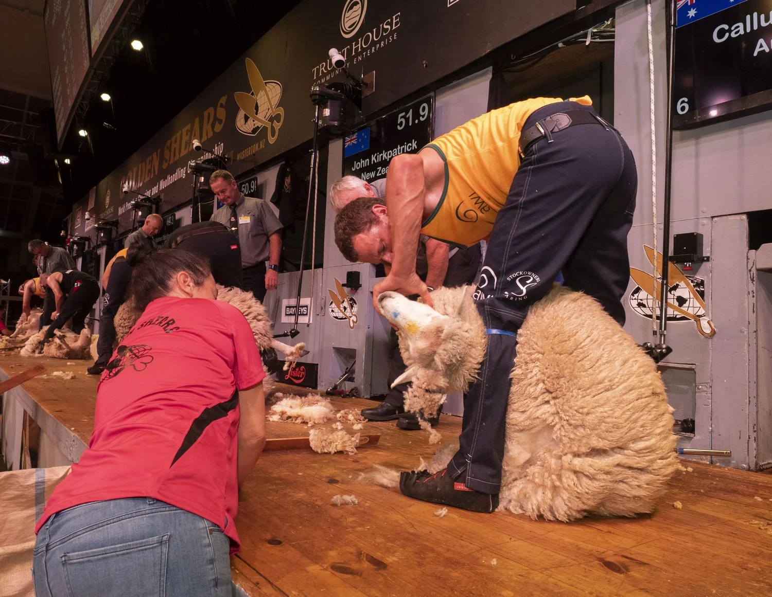 Trans-Tasman Test Shearing