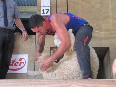 Emotional win tops weekend shears for Toa Henderson