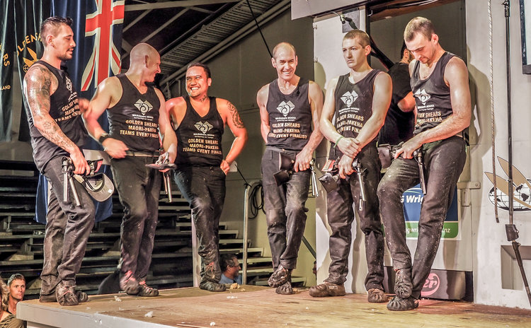 Open Shearing Final