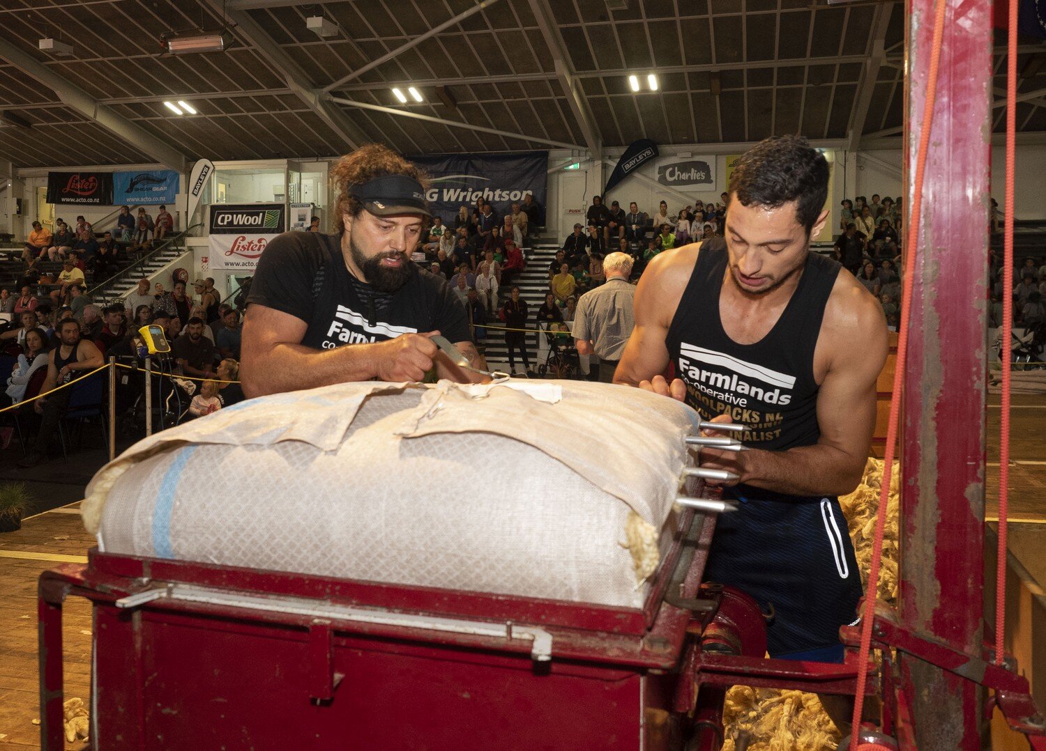 Pairs Wool Pressing Final