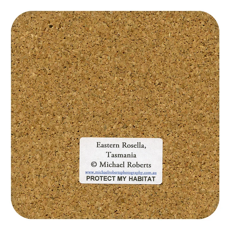 Eastern Rosella Drink Coaster (Back) (DC3).jpg
