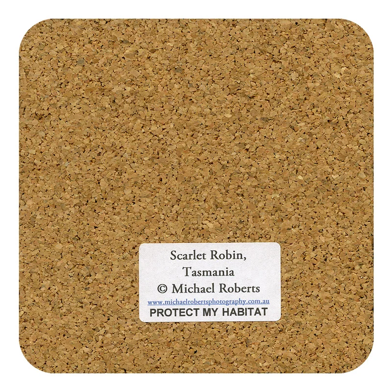 Scarlet Robin Drink Coaster (Male) (Back) (DC10).jpg